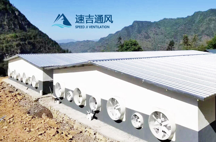 降溫水簾風(fēng)機(jī)設(shè)計安裝高度標(biāo)準(zhǔn)和豬場濕簾安裝運(yùn)用8個誤解 降溫水簾風(fēng)機(jī)設(shè)計安裝高度標(biāo)準(zhǔn)和豬場濕簾安裝運(yùn)用8個誤解