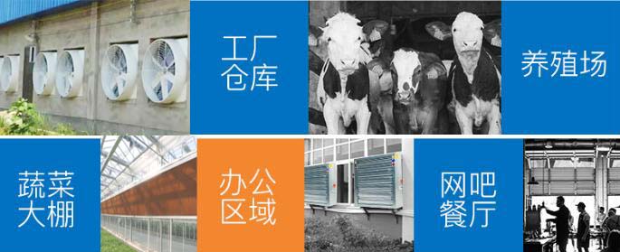 大棚種植專用水簾風(fēng)機(jī)通風(fēng)降溫濕簾紙及水簾墻系統(tǒng)