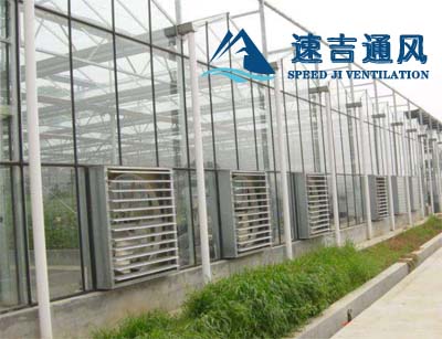 玻璃鋼房大棚專用負(fù)壓風(fēng)機(jī),鍍鋅板材質(zhì) 玻璃鋼房大棚專用負(fù)壓風(fēng)機(jī),鍍鋅板材質(zhì)