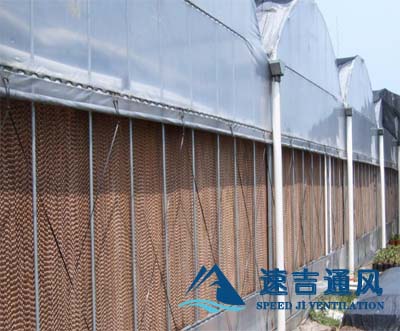 玻璃鋼蔬菜大棚專用水簾_濕簾負(fù)壓風(fēng)機(jī)降溫效果圖 玻璃鋼蔬菜大棚專用水簾_濕簾負(fù)壓風(fēng)機(jī)降溫效果圖