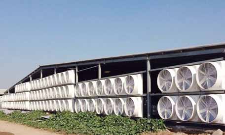 蚌埠負壓風機的作用 蚌埠負壓風機的作用