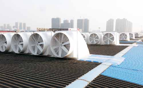 紹興無(wú)動(dòng)力屋頂風(fēng)機(jī)特點(diǎn) 紹興無(wú)動(dòng)力屋頂風(fēng)機(jī)特點(diǎn)