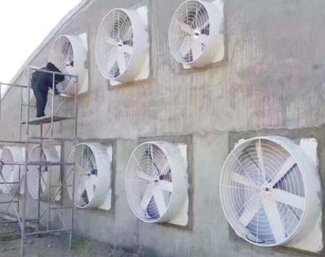 養(yǎng)牛場玻璃鋼負壓風(fēng)機