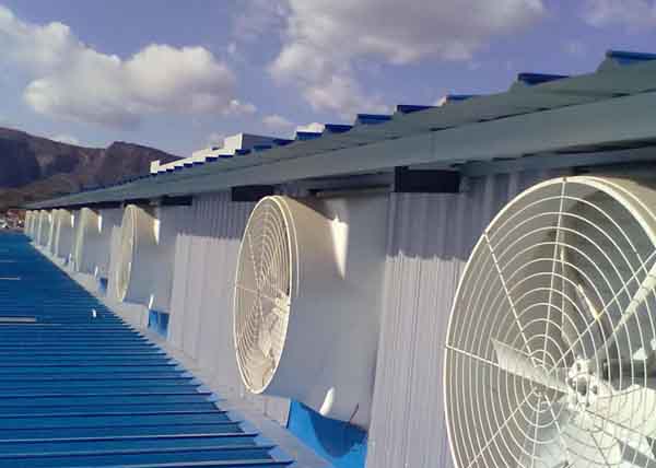 萊州屋頂風(fēng)機(jī)通風(fēng)設(shè)備 萊州屋頂風(fēng)機(jī)通風(fēng)設(shè)備