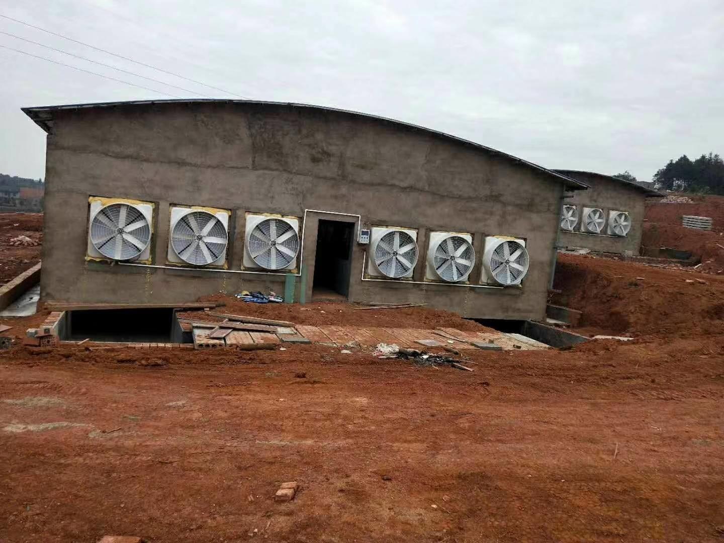 負(fù)壓鼓風(fēng)機 負(fù)壓鼓風(fēng)機