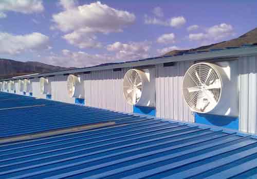 嵊州負壓風機安裝效果圖 嵊州負壓風機安裝效果圖